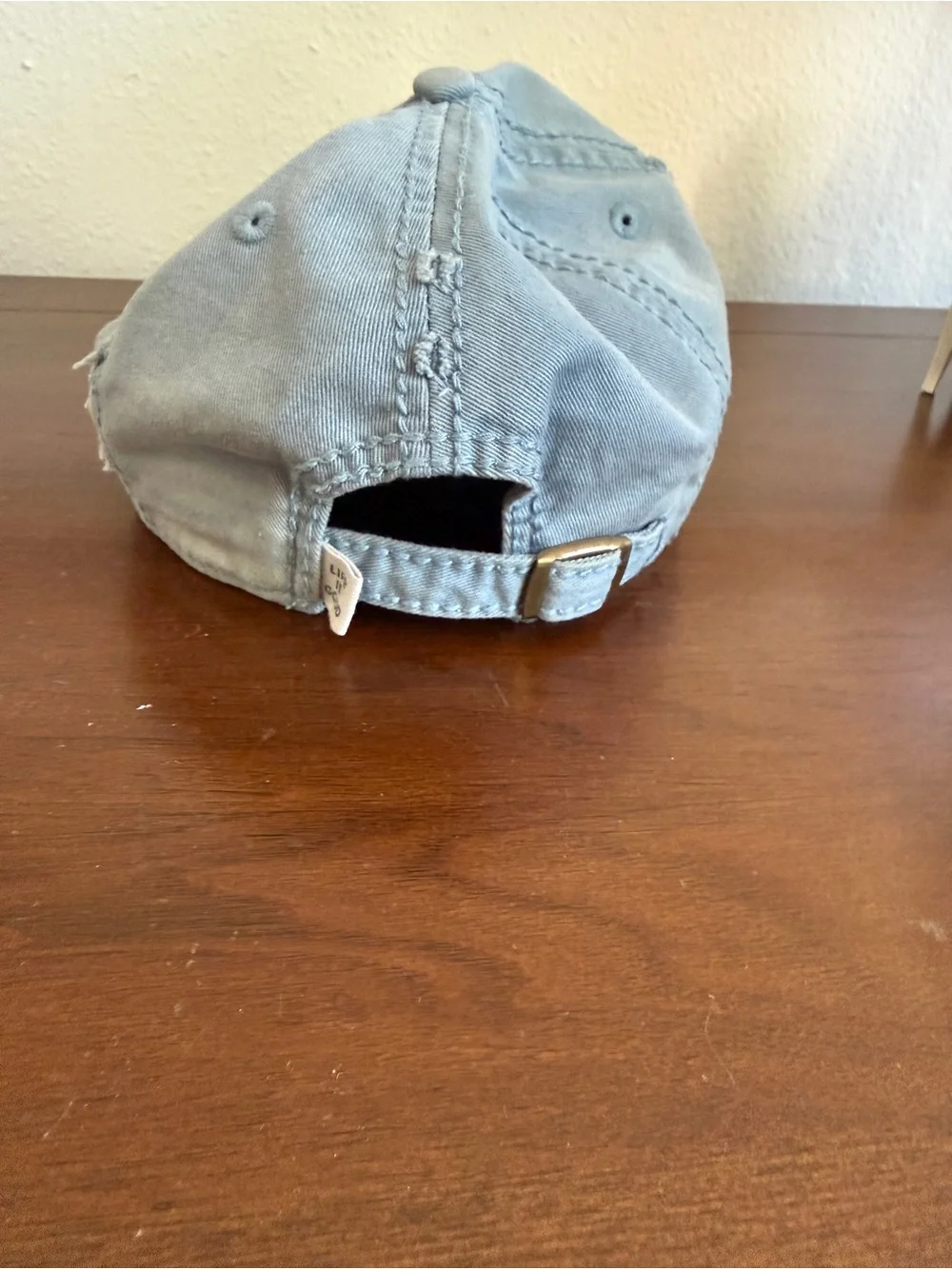 Life Is Good Light Blue Kids Baseball Hat with Dog Patches